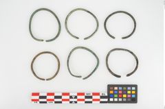 Foto von Bronzering (NHMW-PRAE-026628)